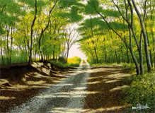 ������顡����Ÿ