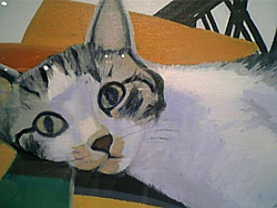 ���Ĺɰ�Ϥ ��ĦŸ���ݰ����Υͥ�������