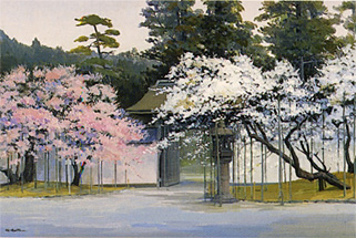 �����β�����Ÿ