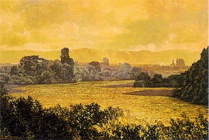 ��26�󡡻�������Ÿ 