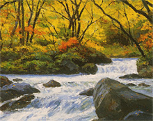 ���������סֽ��̡���������(�Ŀ��������ĸ�Į�ˡ�