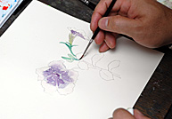 ��̲��饳�����ֺ�����