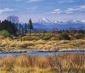 ����ա��դ뤵���ؤ����ɴ���ͤ����ѻ�