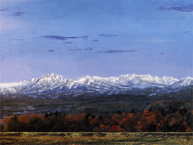 ������顡��48���ٻ��糨��Ÿ