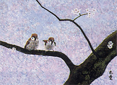 ������顡��48���ٻ��糨��Ÿ