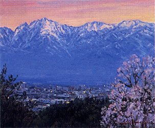 ������顡��48���ٻ��糨��Ÿ