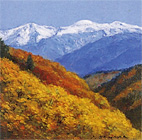 �����糨��Ÿ