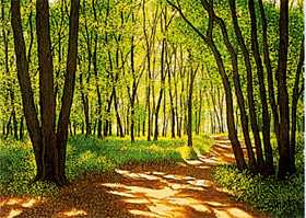 �����糨��Ÿ