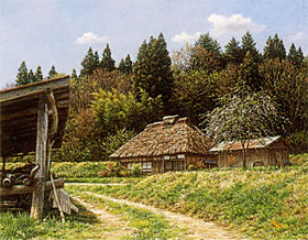 �����Х��ˤҤ����붿����Τ ��������¡�����Ÿ