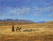 ��49��ɴ���ͤ��β��