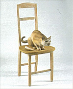 ����դ�̤볨��200��������13��ɴ���ͤ����ѻ�