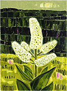 ����30�ʤȷ��٤˺餯�֡�Ÿ��