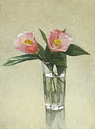 ������顡�����糨��Ÿ